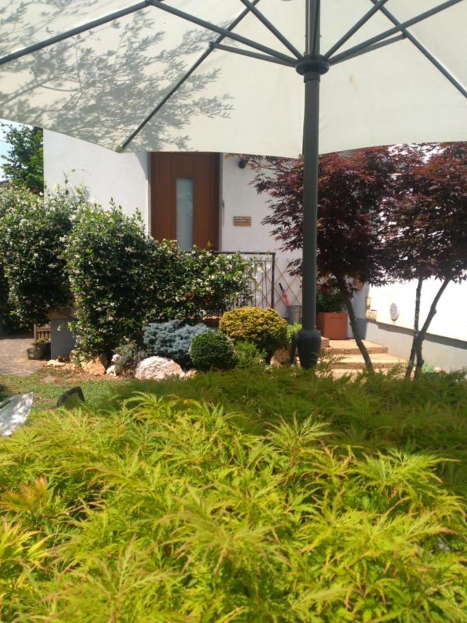 Le Betulle Bed & Breakfast Zanica Dış mekan fotoğraf