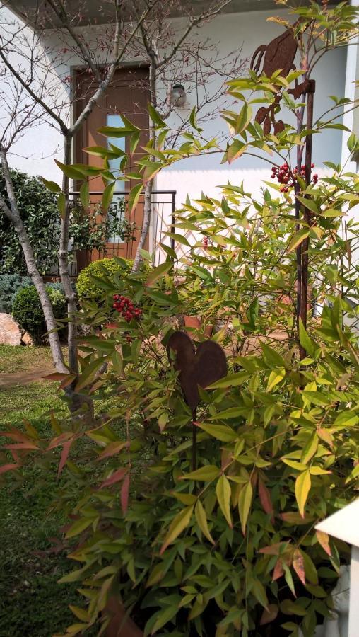 Le Betulle Bed & Breakfast Zanica Dış mekan fotoğraf