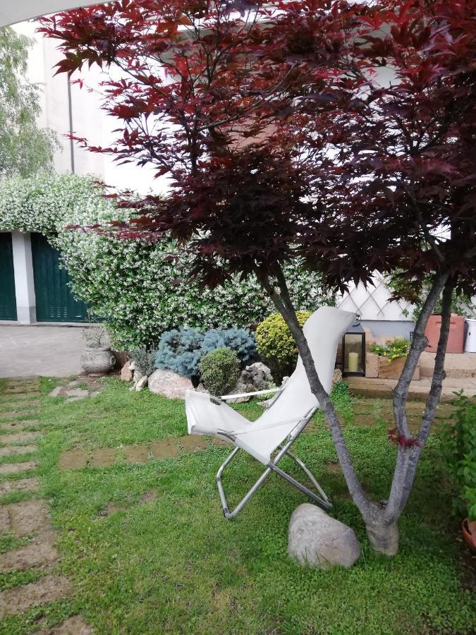 Le Betulle Bed & Breakfast Zanica Dış mekan fotoğraf