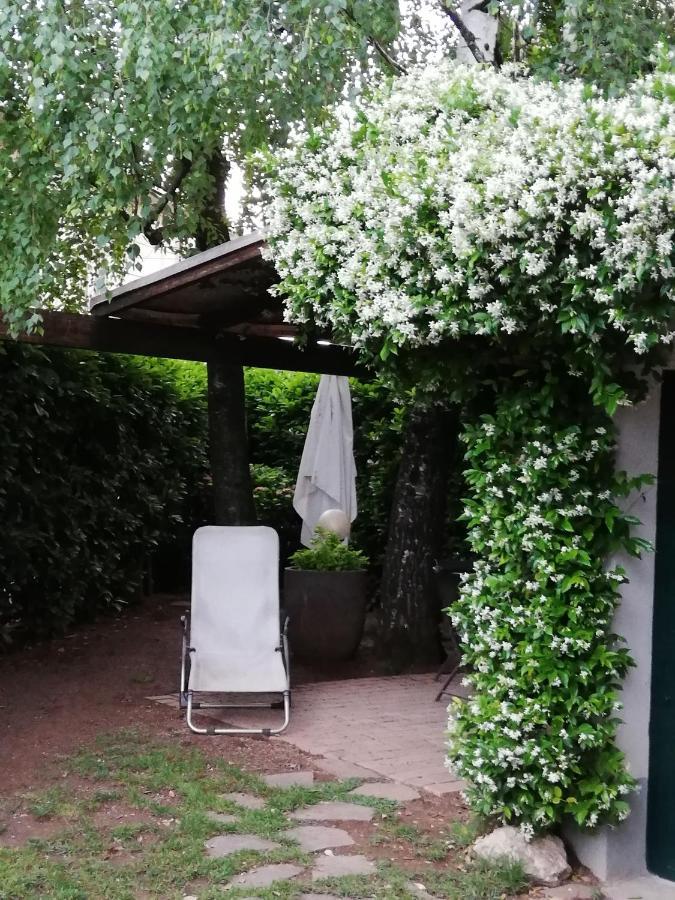 Le Betulle Bed & Breakfast Zanica Dış mekan fotoğraf